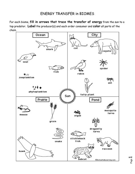 Energy Transfer Worksheet - Chart Sheet Gallery