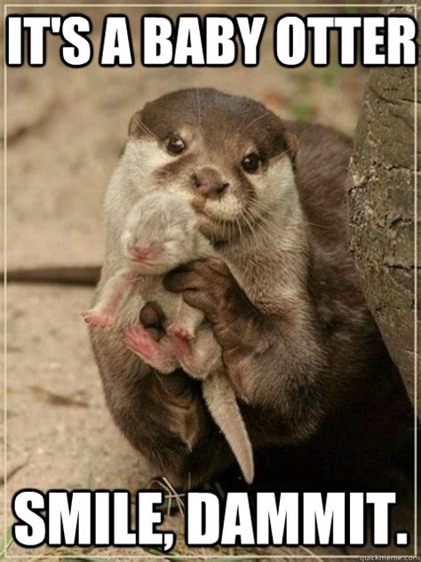 it's a baby otter smile, dammit. - BE HAPPY - quickmeme