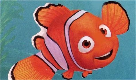 Clown Fish – Nemo | The Westcoast 360° Blog