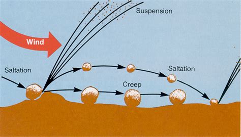 Wind Erosion Prediction System