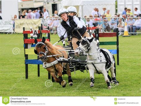 Driving Competition Horse Drawn Carriage Editorial Photo - Image of canter, fast: 124294181