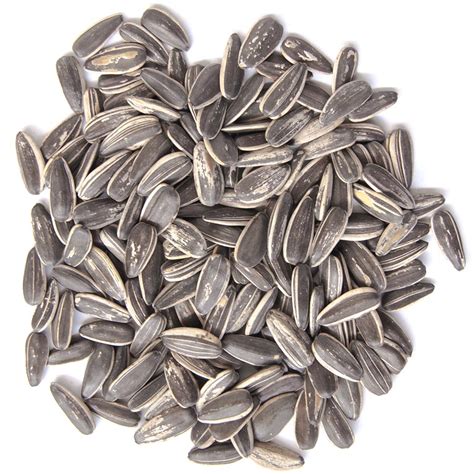 Sunflower Seeds – PR International