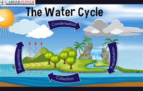 Water Cycle Diagram, Process and Model