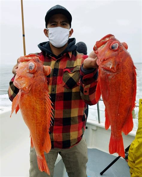 Kahuna Fish Report - Kahuna - Rockfish on Lake Pacific - July 25, 2020