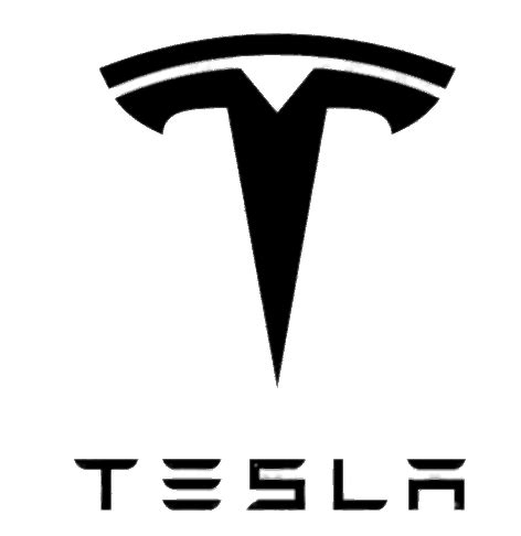 Tesla Black Logo transparent PNG - StickPNG