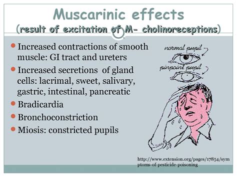 Intoxication by agricultural chemical poisonings - презентация онлайн