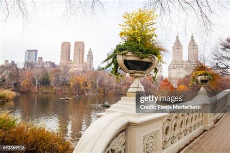 Central Park Bridges Photos and Premium High Res Pictures - Getty Images