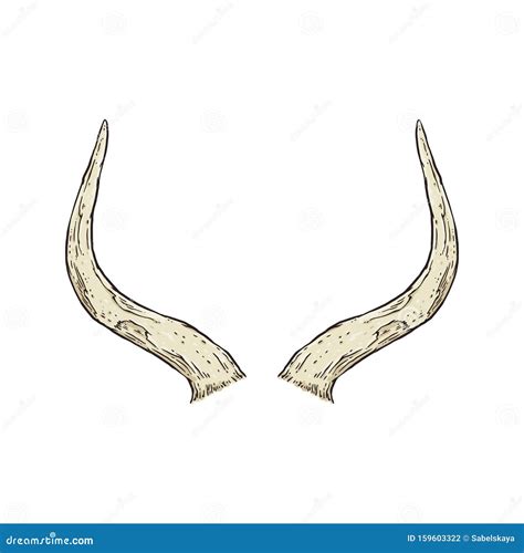 Animal Horns Isolated on White Background - Detailed Drawing. Stock Vector - Illustration of ...