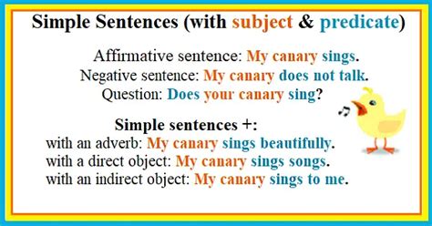 English Sentence Structure