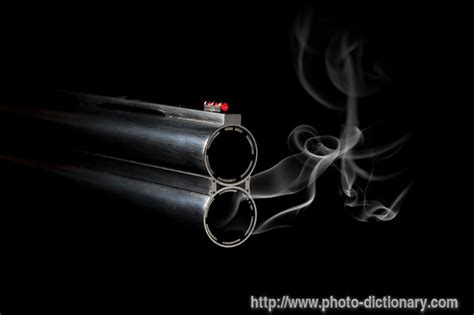 gun barrel - photo/picture definition at Photo Dictionary - gun barrel word and phrase defined ...