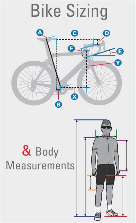 Road Bike Frame Sizes – Find & Fit The Right Bicycle for You | Road ...