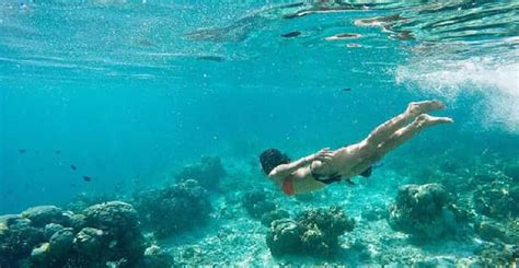 Labuan Bajo: Swim and Snorkel Komodo Island Trip with Lunch | GetYourGuide