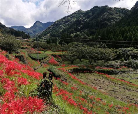 Kumamoto prefecture - Sightseeing places