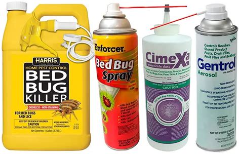 3 Best Insecticide for Bed Bugs that Actually Work in 2024: Expert Review