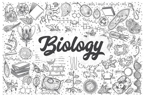 Premium Vector | Hand drawn biology doodle set. lettering - biology