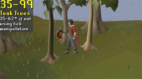 Complete OSRS Woodcutting Guide 1-99 (AFK, F2P, P2P Methods) - GoldenEyeVault