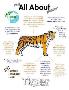 My All About Tigers Book - (Wild animals/cats) | All about tigers ...