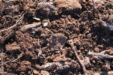 Ground background. Loose soil texture. Dirt backdrop. Stock Photo | Adobe Stock