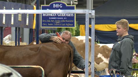 Livestock participants prepare for competition at Kentucky State Fair