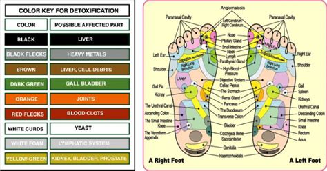 Foot Detox Information - Bella Soul Spa - premier day spa - massages, facials and spa treatments