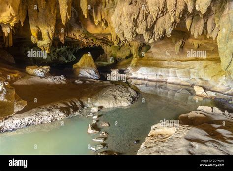 Waipu caves at New Zealand Stock Photo - Alamy