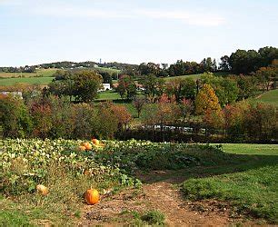 Brown's Orchard & Farm Markets | Farm & Fun