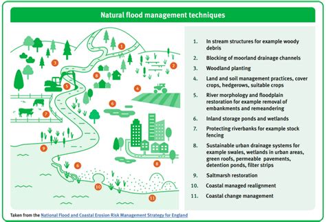 Flood Prevention Techniques