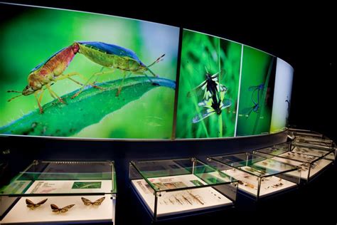 Insectarium de Montréal - voyageretdecouvrir.com