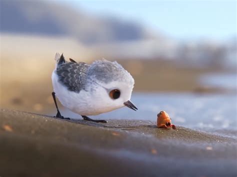 This Oscar-winning Short Film About a Baby Sandpiper Captures the Magic of the Beach from a ...