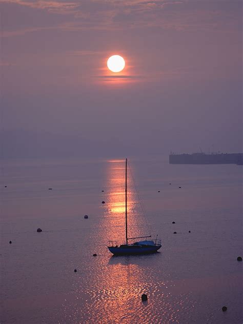 Sunrise in Falmouth Harbour | Wildlife Insight