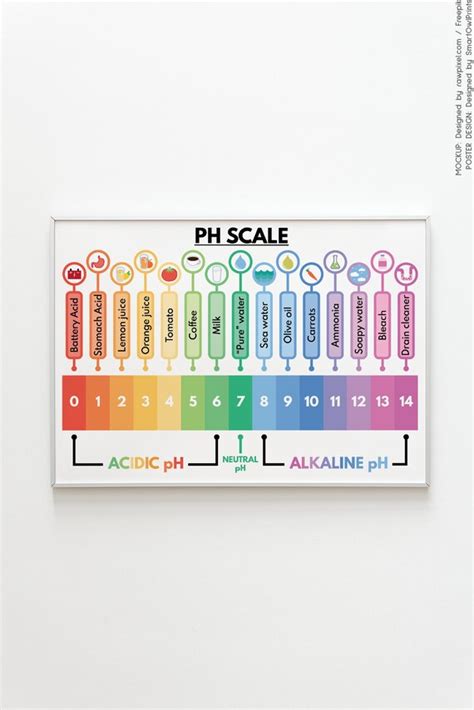 PH SCALE POSTER Educational Poster Science Poster for Kids - Etsy