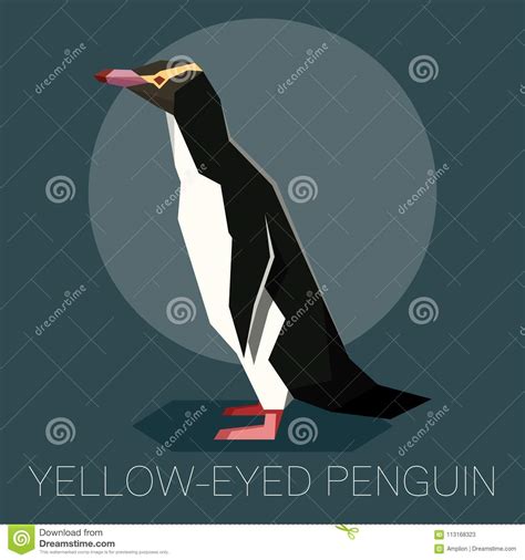 Flat Yellow-eyed penguin stock vector. Illustration of aquatic - 113168323