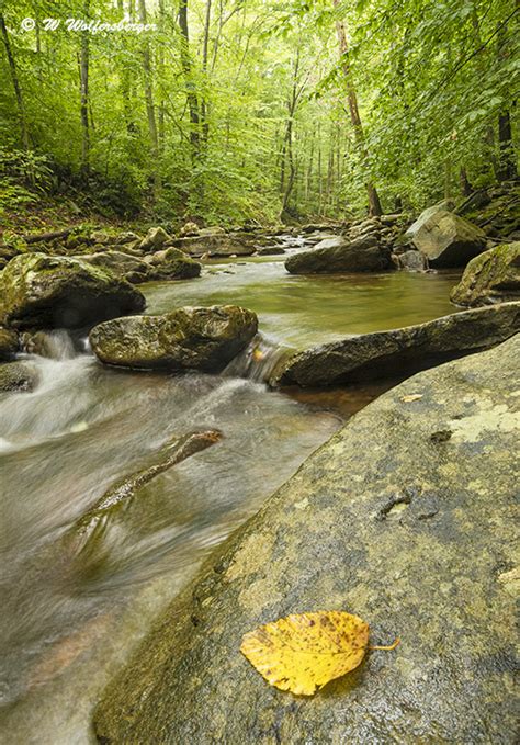 Maryland Fall Foliage Report – September 21, 2023 – Autumn Colors ...