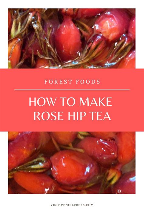 Rose hip tea is a delicious and nutritious way to enjoy these plentiful berries. Follow this ...