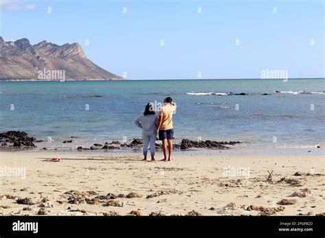 Old Couple walking on the beach holding hands Stock Photo - Alamy