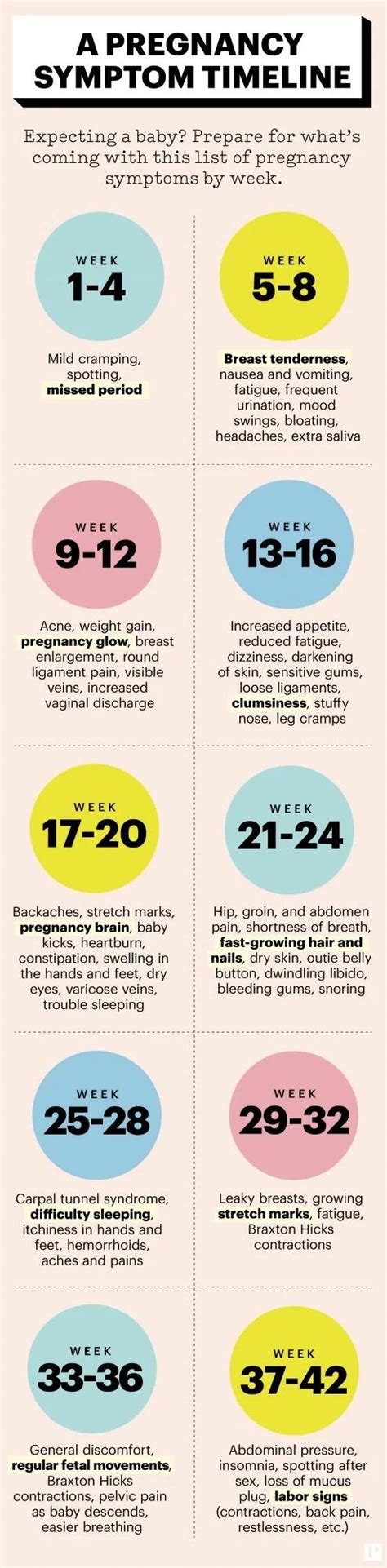 200228-pregnancy-timeline-infographic Pregnancy Symptoms By Week ...