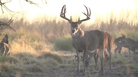 Deer Hunting with Kids is the Best Family Fun Outdoors - YouTube