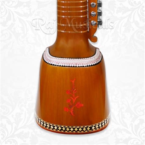 Dilruba Special Model With Fiberglass Case, Dilruba Indian Instrument ...