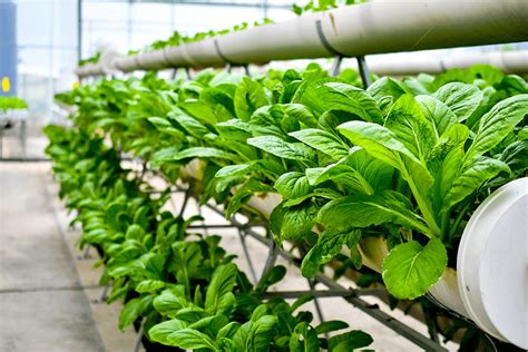 What are the types of vertical farming systems?