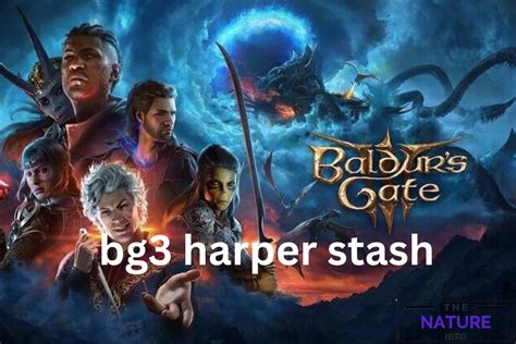 How To Locate The Harper Stash In Baldur's Gate 3? - The Nature Hero