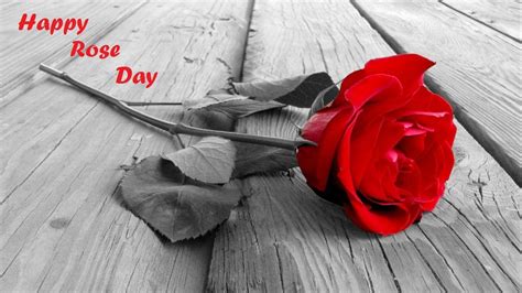 Happy Rose Day Wallpapers - Wallpaper Cave