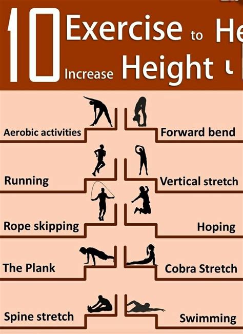 Increase height workout | Increase height, Increase height exercise, How to grow taller