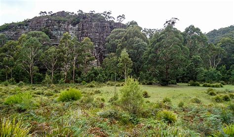 Wollemi National Park | Learn more | NSW National Parks