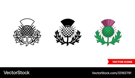 Thistle symbol scotland icon 3 types color Vector Image