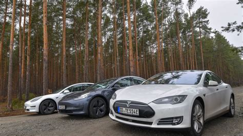 Tesla progress on German factory slowed by sleeping snakes