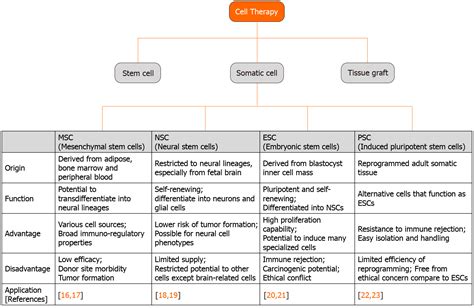 Recent advances in stem cell therapy for neurodegenerative disease: Three dimensional tracing ...