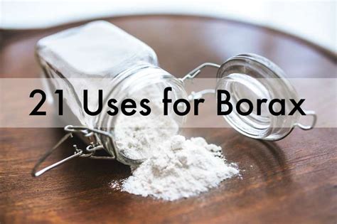 21 Amazing Uses For Borax Around The House - Moral Fibres