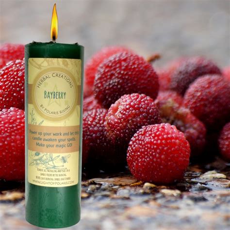 Bayberry Candle | Bayberry candles, Candles, Raspberry