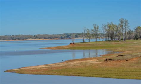 The 10 Best Fishing Spots in Mississippi This Summer - AZ Animals