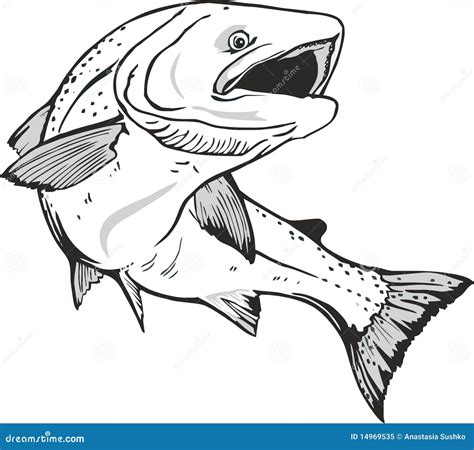 Fish Salmon Royalty Free Stock Photo - Image: 14969535